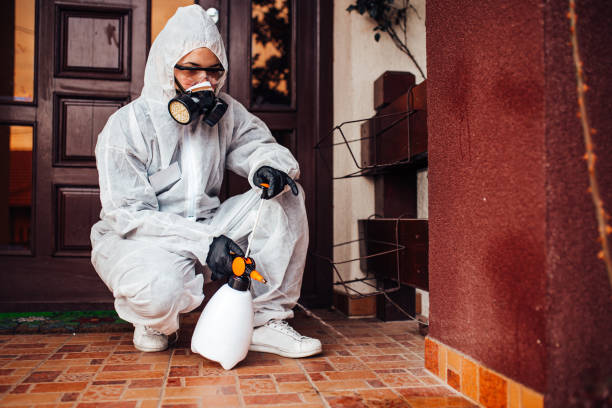 Reliable Wasp Removal contractor in Lucas, TX by Show Me Pest Control