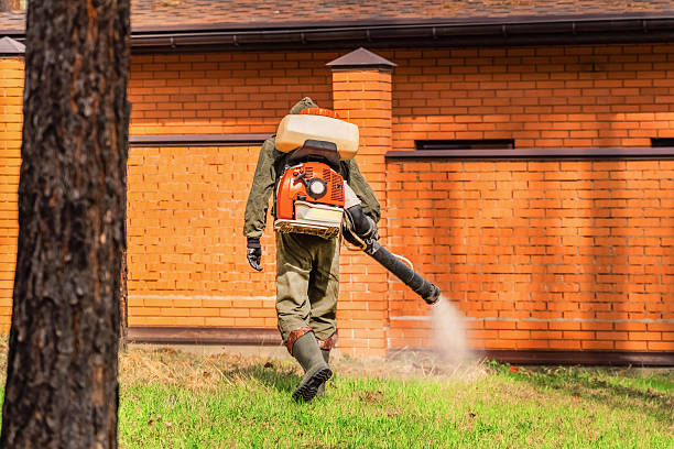Top rated local Wasp Removal specialists in Lucas, TX
